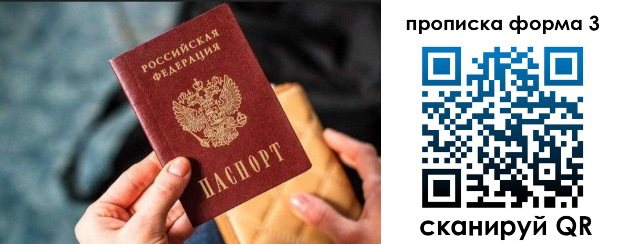 прописка гарантия в Тынде